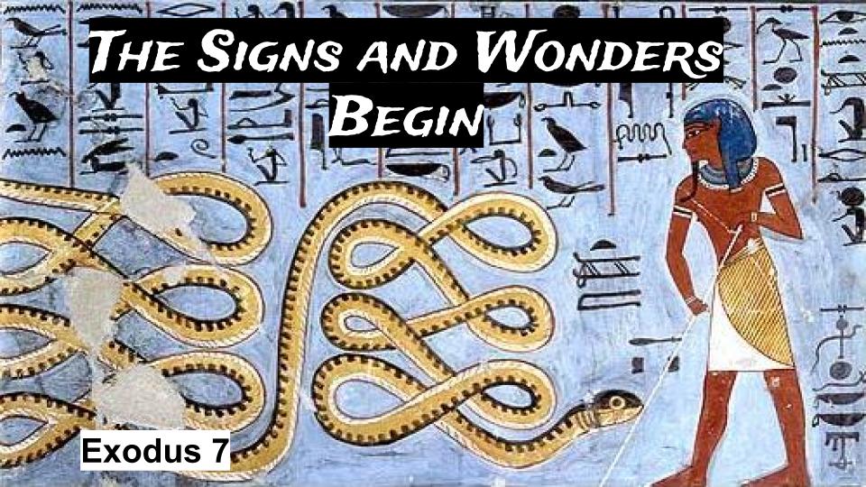 The Signs and Wonders Begin Ex 7