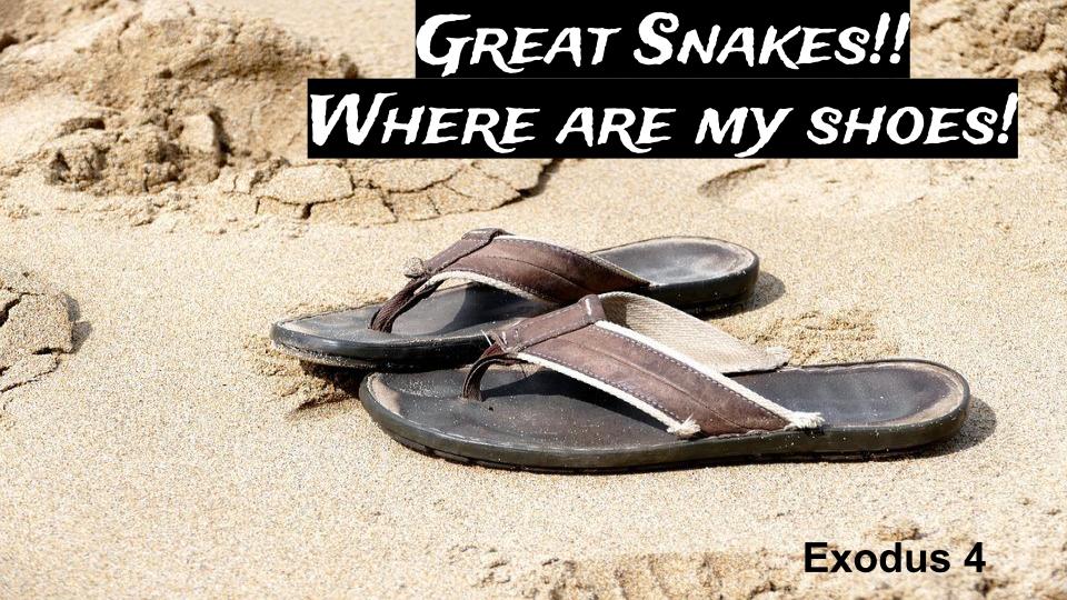 Great Snakes! Where are my shoes! Ex4