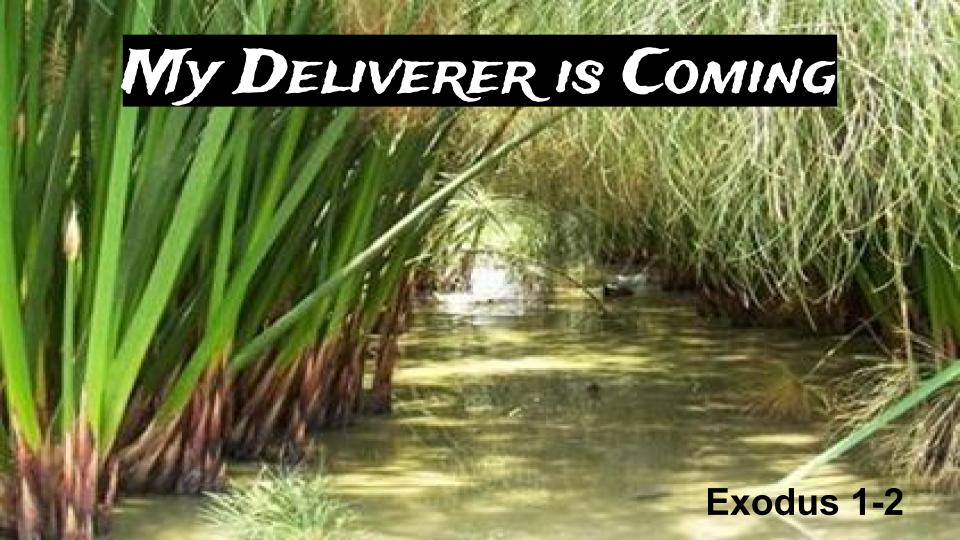 My Deliverer is Coming Ex 1-2